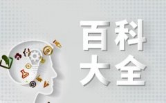 <b>团全年停业收入1195亿港元</b>